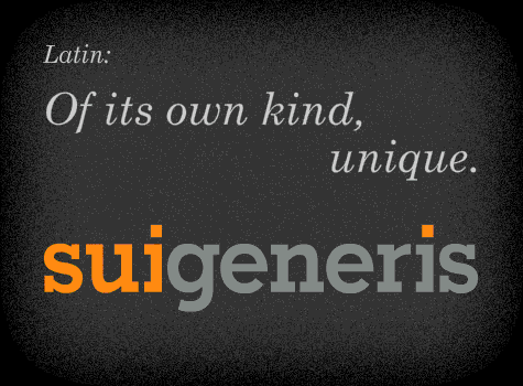 Introduction to Sui Generis