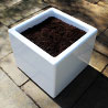 Cube Plant Pod Planter